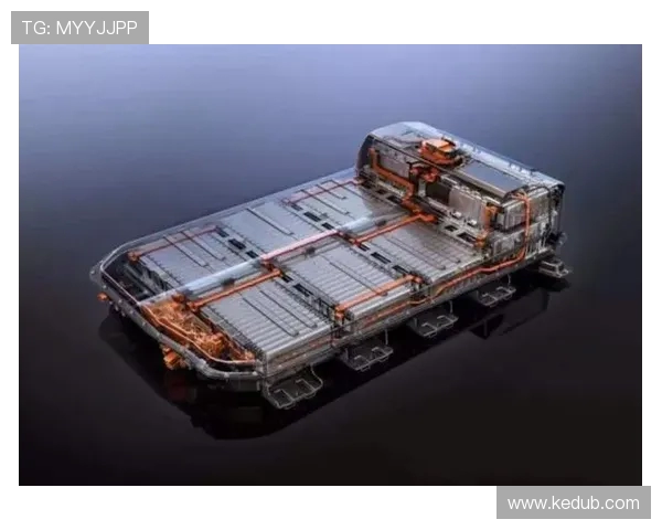 八一双鹿电池在国际市场的崛起与美国竞争的全景分析